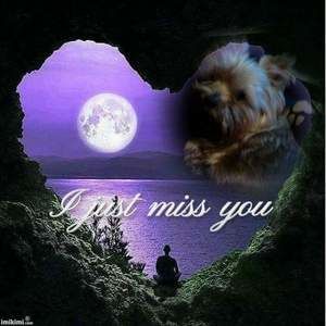 Meet your Posher, Sue